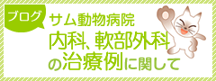 サム動物病院　内科、軟部外科の治療例に関して